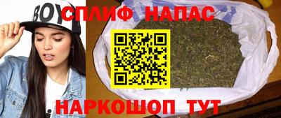 шишки Сланцы