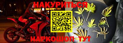 шишки Сланцы