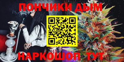 шишки Сланцы