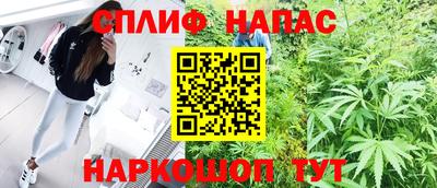 шишки Сланцы