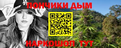 шишки Сланцы