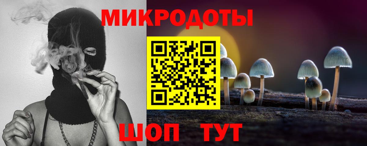 Галлюциногенные грибы мухоморы  купить наркоту  Новоуральск  Вход с VPN 
