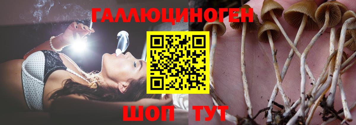 Псилоцибиновые грибы мухоморы Новоуральск